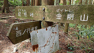 p5062866_thumb.jpg