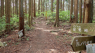 p5062867_thumb.jpg