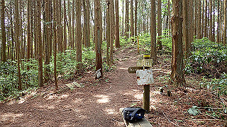 p5062869_thumb.jpg