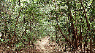 p5062870_thumb.jpg