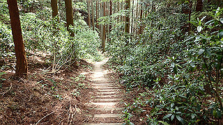 p5062871_thumb.jpg