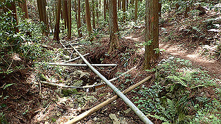 p5062874_thumb.jpg