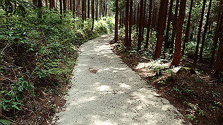 p5062876_thumb.jpg