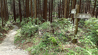p5062877_thumb.jpg