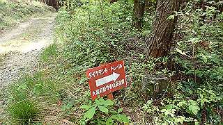 p5062878_thumb.jpg