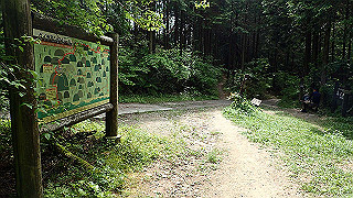 p5062879_thumb.jpg