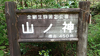 p5062881_thumb.jpg