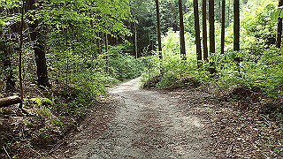 p5062883_thumb.jpg