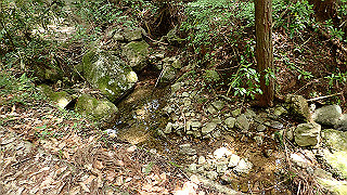 p5062884_thumb.jpg