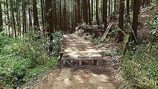 p5062885_thumb.jpg