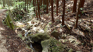 p5062886_thumb.jpg