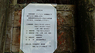 p5062889_thumb.jpg