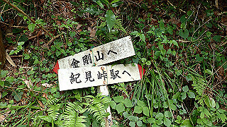 p5062890_thumb.jpg