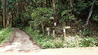 p5062891_thumb.jpg