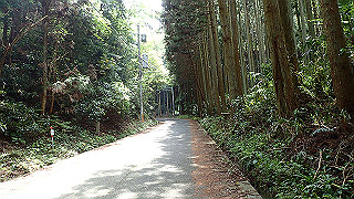 p5062894_thumb.jpg