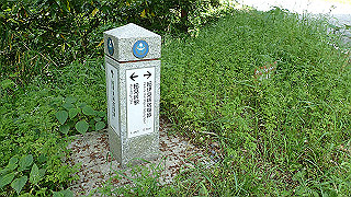 p5062901_thumb.jpg