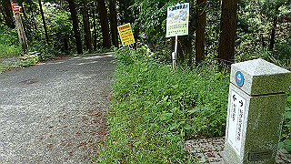 p5062902_thumb.jpg