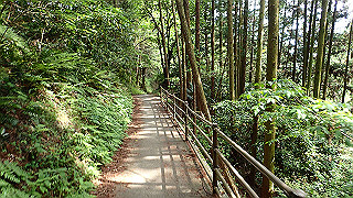 p5062904_thumb.jpg