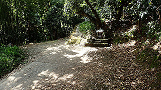 p5062906_thumb.jpg