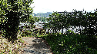 p5062907_thumb.jpg