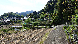 p5062910_thumb.jpg