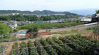 p5062914_thumb.jpg