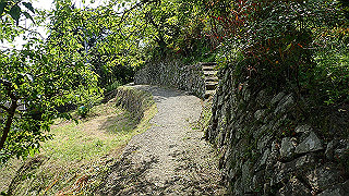 p5062915_thumb.jpg