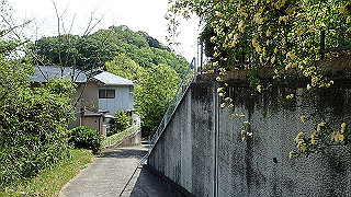 p5062917_thumb.jpg