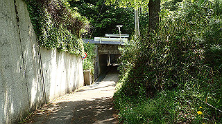 p5062918_thumb.jpg