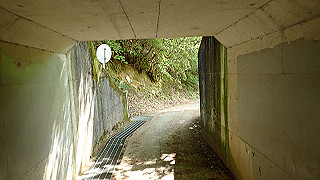 p5062919_thumb.jpg