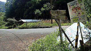 p5062921_thumb.jpg