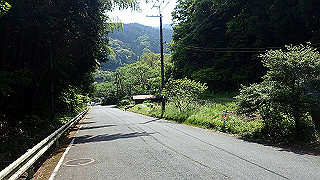 p5062922_thumb.jpg