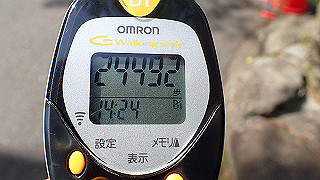 p5062924_thumb.jpg