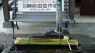 p5062934_thumb.jpg