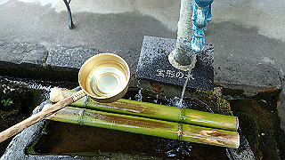 p5062938_thumb.jpg