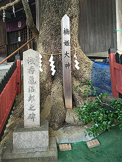 img_0590_thumb.jpg
