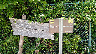 p5112946_thumb.jpg