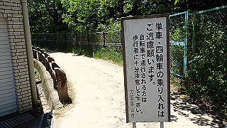 p5112947_thumb.jpg