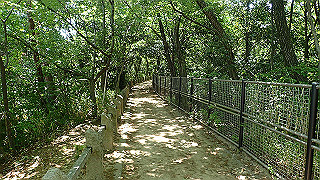 p5112950_thumb.jpg