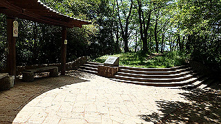 p5112953_thumb.jpg