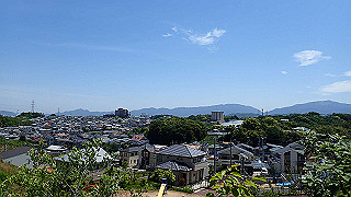 p5112955_thumb.jpg