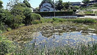 p5112956_thumb.jpg