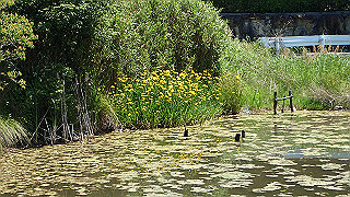 p5112957_thumb.jpg