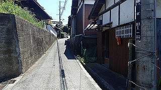 p5112959_thumb.jpg
