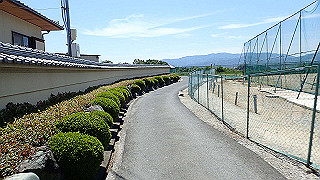 p5112962_thumb.jpg