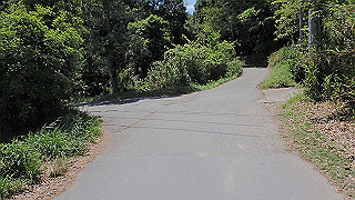 p5112963_thumb.jpg