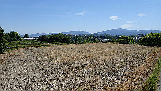 p5112966_thumb.jpg