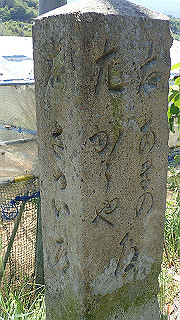 p5112971_thumb.jpg