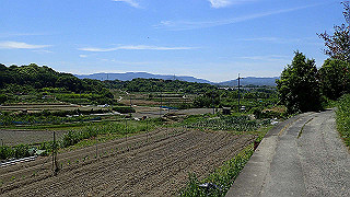 p5112974_thumb.jpg