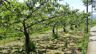 p5112976_thumb.jpg